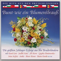 Bunt wie ein Blumenstrauß