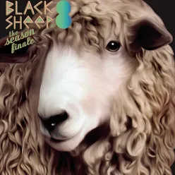 Blacksheep Compilation Volume 8