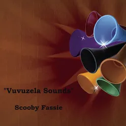 Vuvuzela Sounds