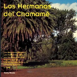 Los Hermanos del Chamamé