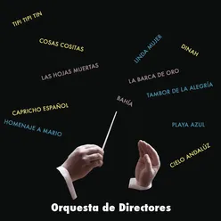 Orquesta de Directores