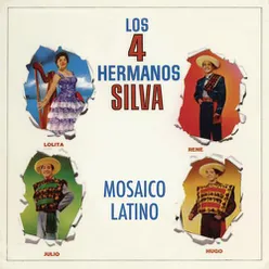 Mosaico Latino