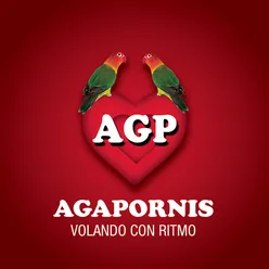 Agapornis - Volando Con Ritmo