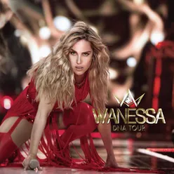 Wanessa DNA Tour