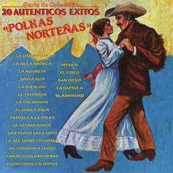 Serie de Colección 20 Auténticos éxitos - Polkas Norteñas