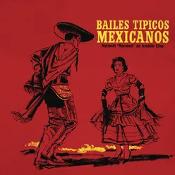 Bailes Típicos Mexicanos