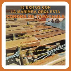 15 Éxitos Con la Marimba Orquesta Corona de Tapachula (Veriones Originales)