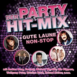 Der Party Hit Mix - 14 Gute-Laune Hits