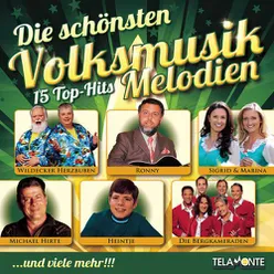 Die schönsten Volksmusik Melodien, 15 Top Hits