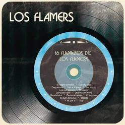 16 Flamazos de los Flamers