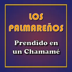 Prendido en un Chamamé