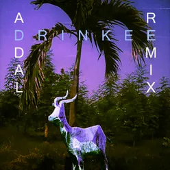 Drinkee Addal Remix