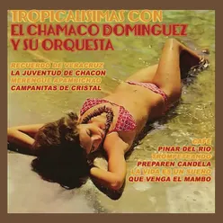 Tropicalísimas Con el Chamaco Domínguez y Su Orquesta