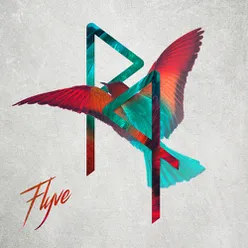 Flyve