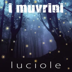 Luciole