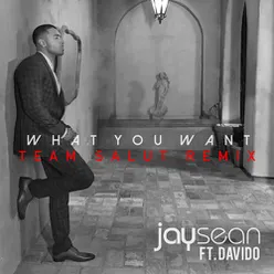 What You Want-Team Salut Remix