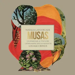 Musas (Un Homenaje al Folclore Latinoamericano en Manos de Los Macorinos), Vol. 2