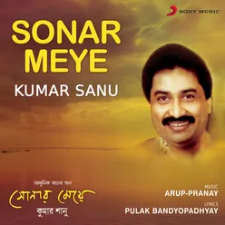 Sonar Meye