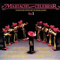 Mariachi para Celebrar, Vol. 1