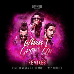 When I Grow Up-The Remixes