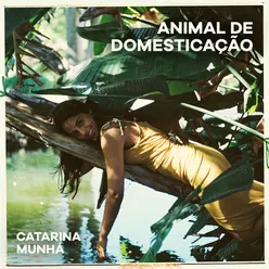 Animal de Domesticação