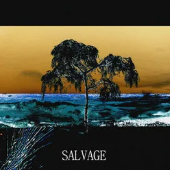 SALVAGE