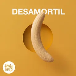 Desamortil Acústico