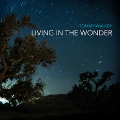 Living in the Wonder