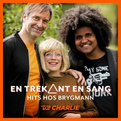En Trekant En Sang 4 - Hits Hos Brygmann