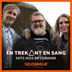 En Trekant En Sang 7 - Hits Hos Brygmann