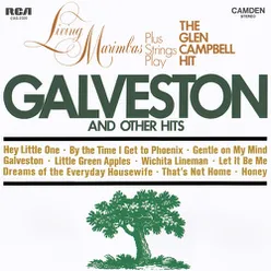 Living Marimbas Plus Strings Play the Glen Campbell Hit "Galveston" and Other Hits