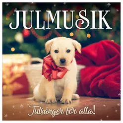 I vår vackra vita vintervärld / Jingeling tingeling