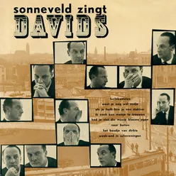 Sonneveld Zingt Davids