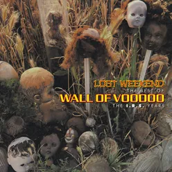 Lost Weekend: The Best Of Wall Of Voodoo-The I.R.S. Years