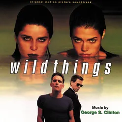 Wild Things Original Motion Picture Soundtrack