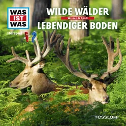 54: Wilde Wälder / Lebendiger Boden