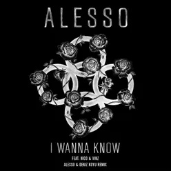 I Wanna Know Alesso & Deniz Koyu Remix