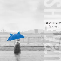 Kiminoseide-For Cat