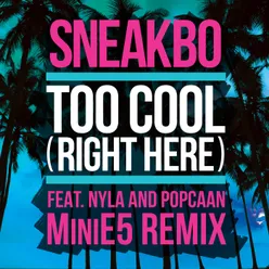 Too Cool (Right Here) MiniE5 Remix