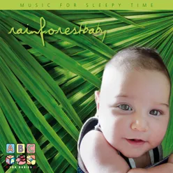 Rainforest Baby - Music For Sleepy Time