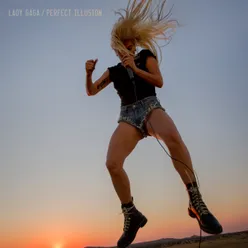 Perfect Illusion