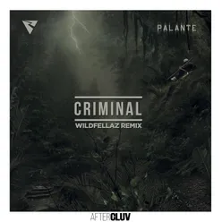 Criminal Wildfellaz Remix