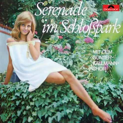 Serenade im Schlosspark