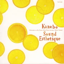 Kanebo Sound Esthetique 6 "Shokutaku no Aru Fuukei - Kiku Flavor Therapy"