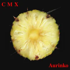 Aurinko (2012 - Remaster)