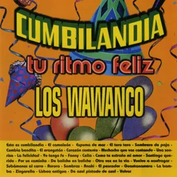 Cumbilandia-Tu Ritmo Feliz