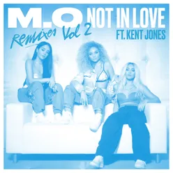 Not In Love Remixes Vol. 2