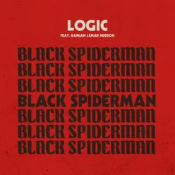 Black SpiderMan