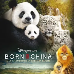 Born in China Original Motion Picture Soundtrack