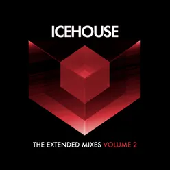 The Extended Mixes Vol. 2